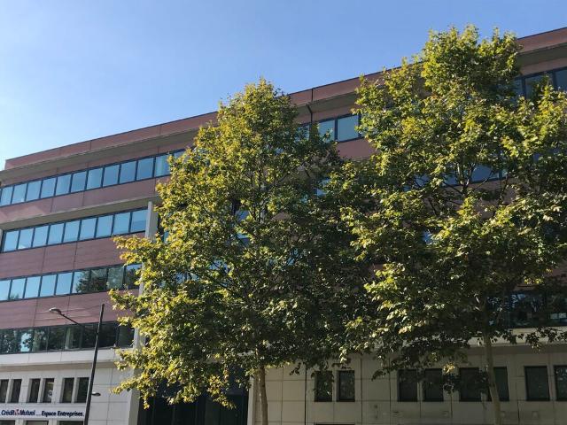 Bureau location à Mulhouse