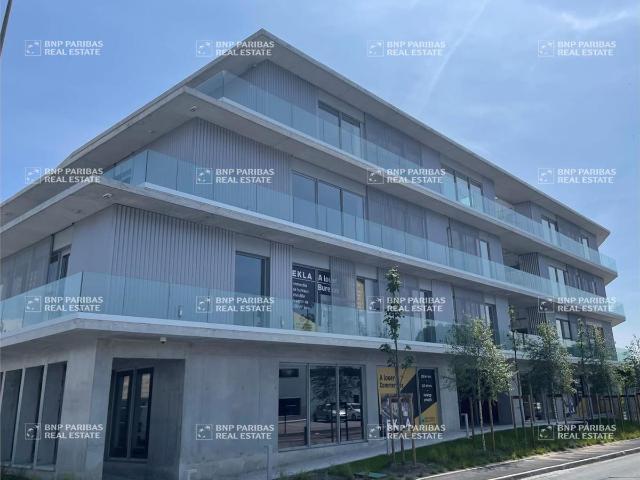 Bureau location à Bayonne, Anglet