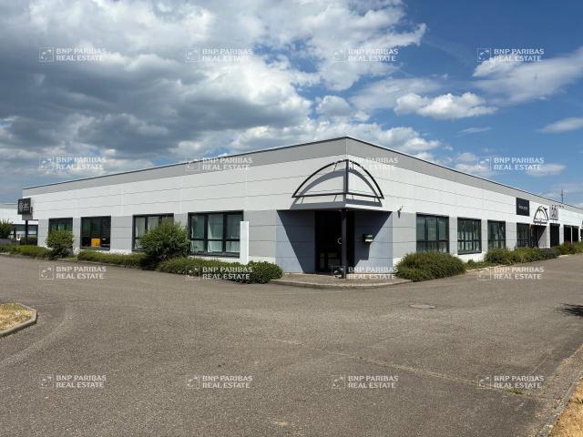 Bureau location à Mulhouse, Sausheim