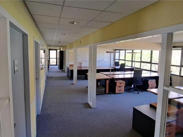 Bureau location à Les Sarrasines, Vasselay