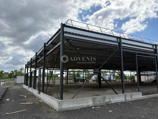 Local Commercial location à Strasbourg, Geispolsheim