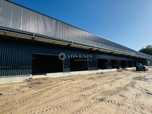 Local Commercial location à Haguenau-Wissembourg, Haguenau