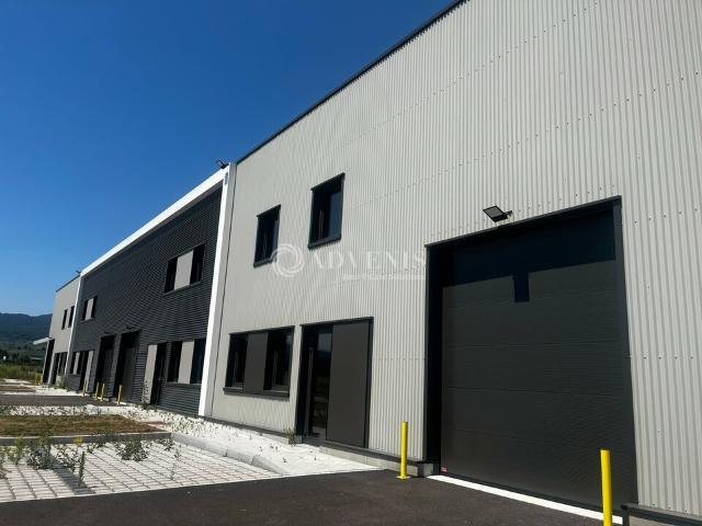 Local Commercial location à Colmar-Ribeauvillé, Guémar