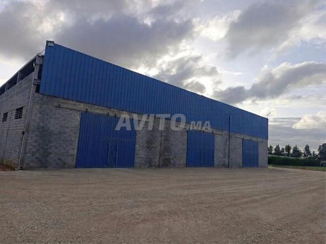 Local commercial location à Skhirat