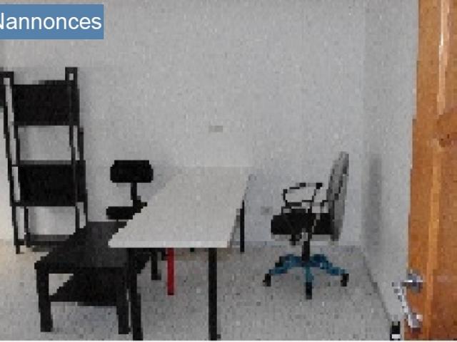Appartement location