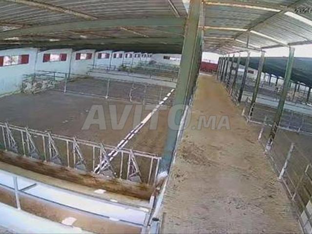 Local commercial location à Berrechid, Gharb-Chrarda-Beni Hssen