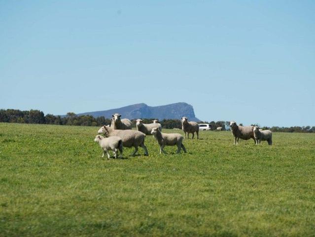 Cottage for sale in Moutajup, Victoria