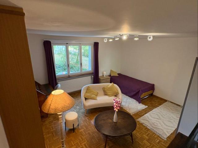 Apartment mieten in Neuchâtel, Corcelles (NE)