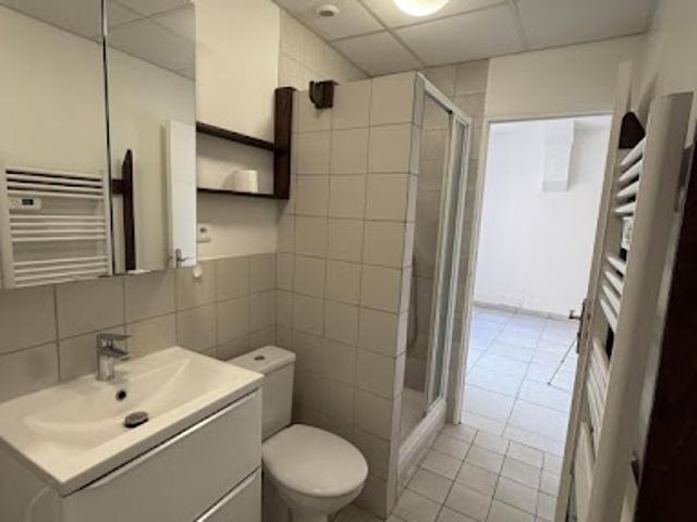 Duplex location à Lyon, Métropole de Lyon