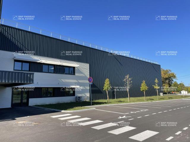 Local Commercial location à Bordeaux, Ambarès-et-lagrave