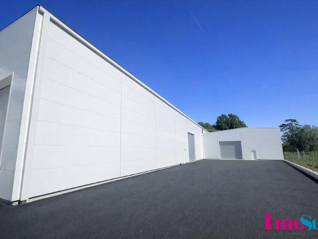 Local Commercial location à Bordeaux, Bassens