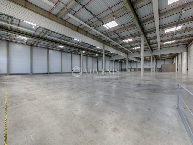 Local Commercial location à Strasbourg, Hoenheim