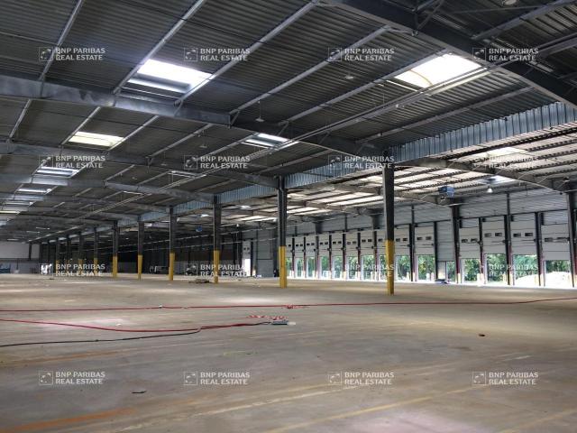 Local Commercial location à Torcy, Emerainville