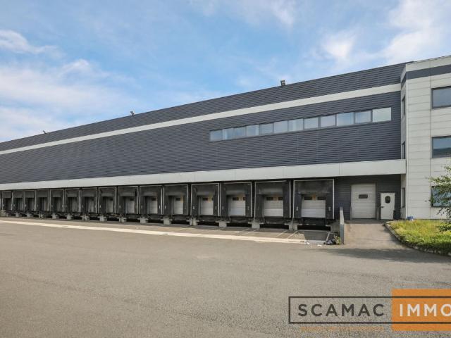 Local Commercial location à Palaiseau, Chilly-mazarin