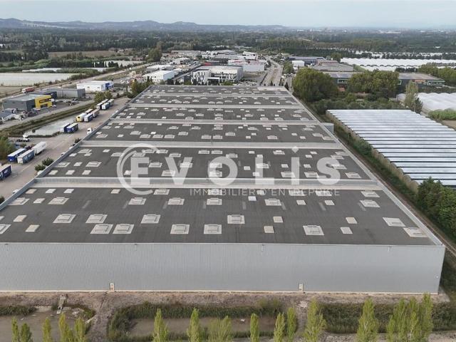 Local Commercial location à Graveson, Bouches-du-Rhône