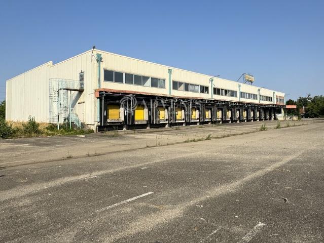Local Commercial location à Strasbourg, Illkirch-graffenstaden