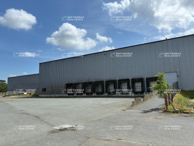 Local Commercial location à Bordeaux, Ambarès-et-lagrave