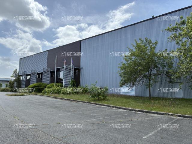 Local Commercial location à Bordeaux, Ambarès-et-lagrave