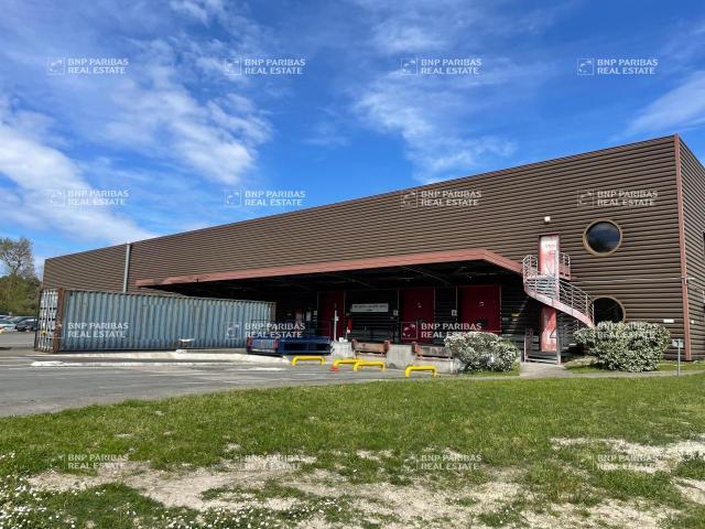 Local Commercial location à Bordeaux, Canéjan