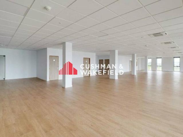 Local Commercial location à Montauban, Montbartier