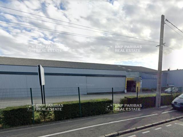 Local Commercial location à Lille, Lys-lez-lannoy