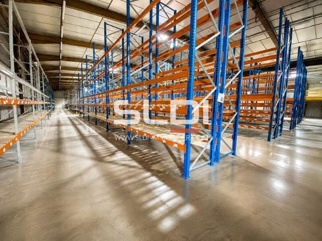 Local Commercial location à Vienne, Saint-georges-d'espéranche