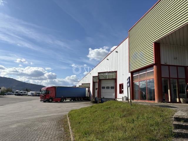 Local Commercial location à Sélestat-Erstein, Scherwiller