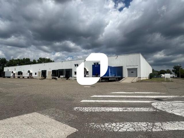 Local Commercial location à Strasbourg, Hoenheim