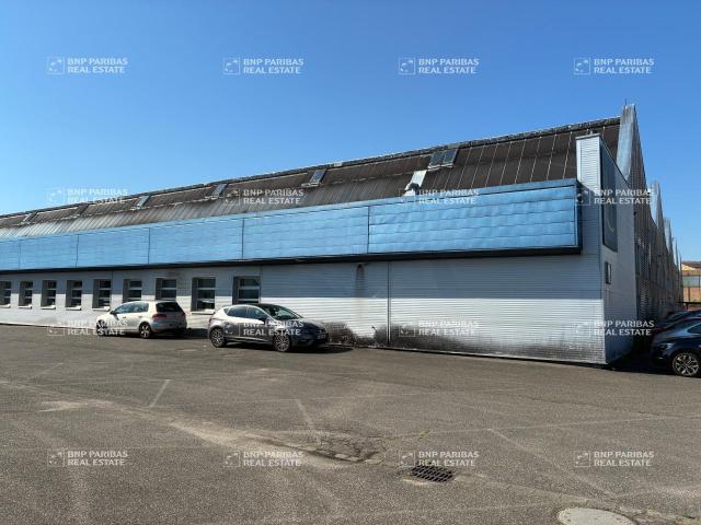 Local Commercial location à Strasbourg, Hoenheim