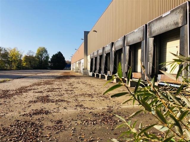 Local Commercial location à Strasbourg, Hoenheim