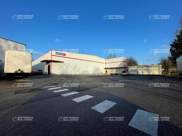 Local Commercial location à Strasbourg, Hoenheim