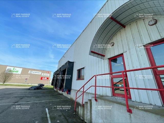 Local Commercial location à Strasbourg, Hoenheim