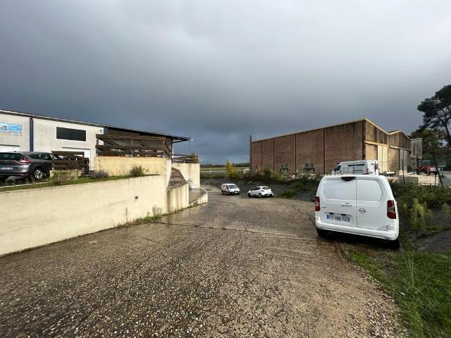 Local Commercial location à Bordeaux, Tresses