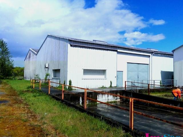 Local Commercial location à Bordeaux, Villenave-d'ornon
