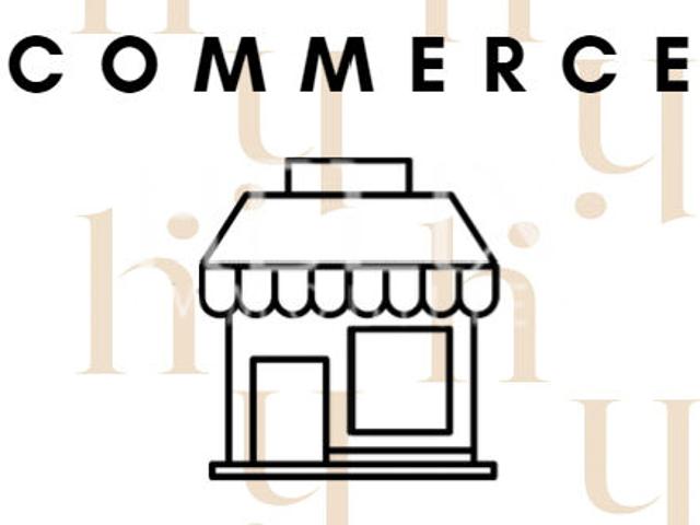 Local Commercial location à Saint-Germain-en-Laye, Saint-germain-en-laye