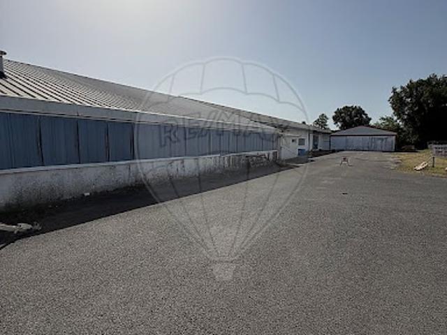 Local Commercial location à Bordeaux, Cadaujac