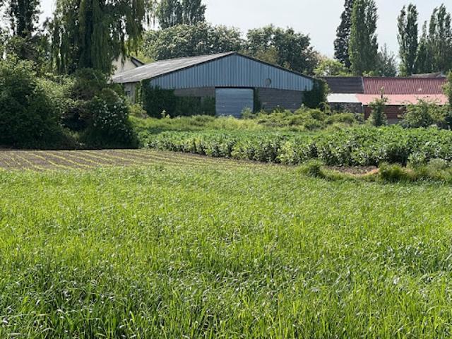Local Commercial location à Mantes-la-Jolie, Arnouville-lès-mantes