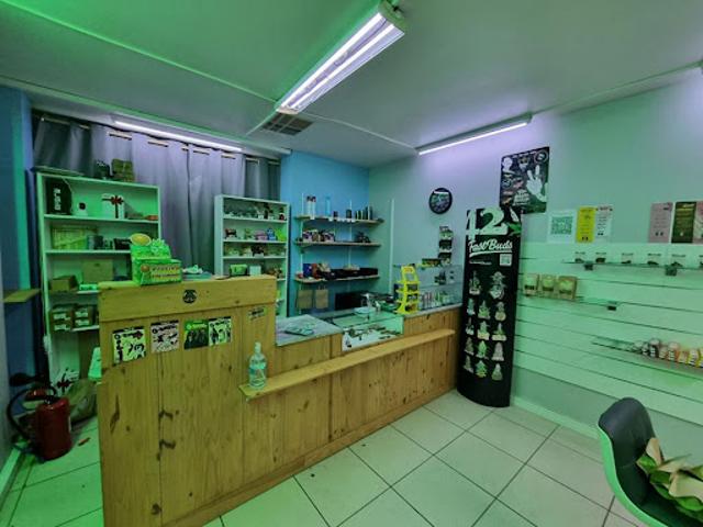 Local Commercial location à Albi