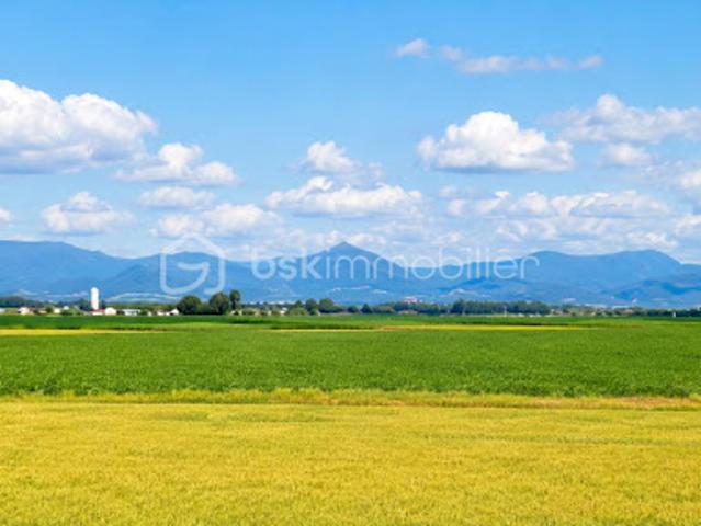 Local Commercial location à Sélestat-Erstein, Marckolsheim