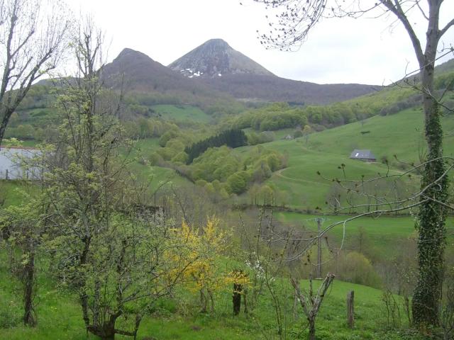 Maison location à Le Mas, Mandailles-Saint-Julien