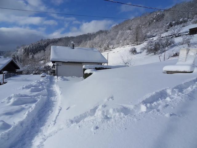 Maison location à Le Pré de l’Orme, La Bresse