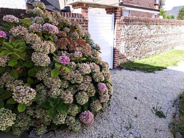 Maison location à Le Havre, Villainville