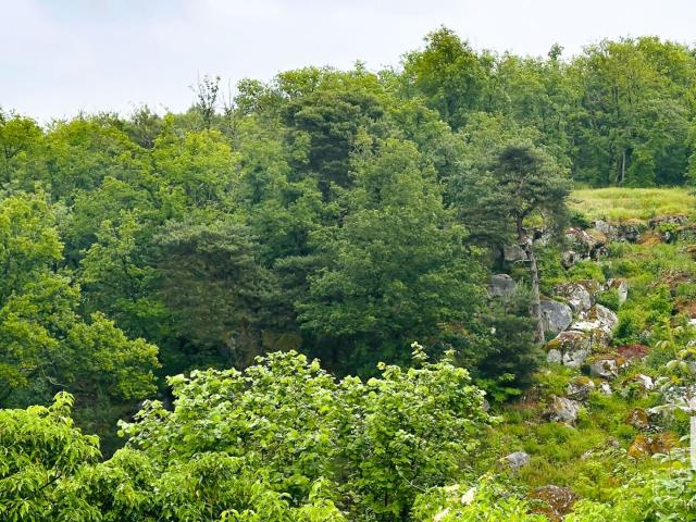 Maison location à Fontainebleau, Saint-pierre-lès-nemours