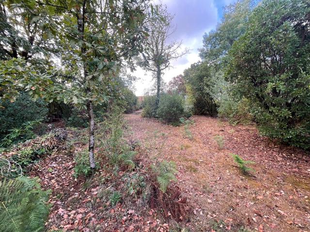Maison location à Arcachon, Lanton