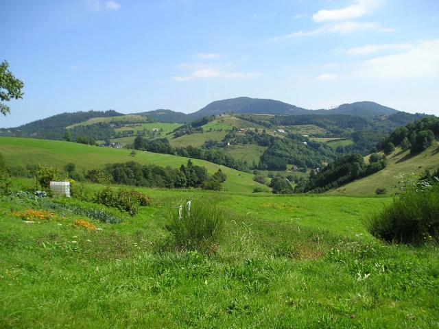 Maison location à Le Bonhomme, Collectivité européenne d'Alsace