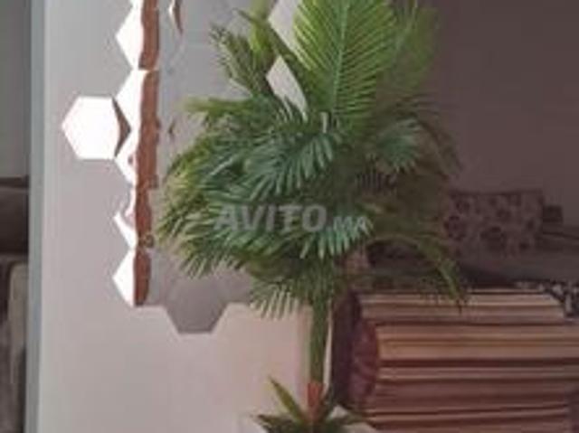 Appartement location à Ifni