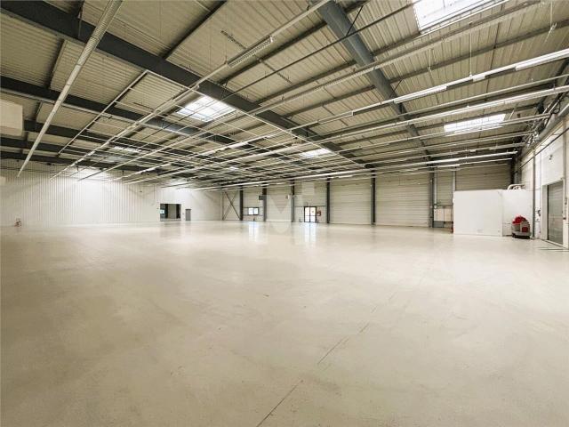 Local Commercial location à Palaiseau, Les Ulis