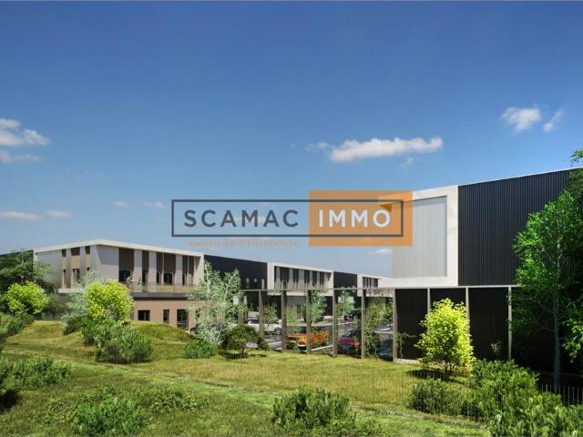 Local Commercial location à Torcy, Bailly-romainvilliers