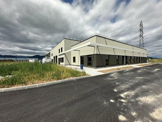 Local Commercial location à Colmar-Ribeauvillé, Guémar