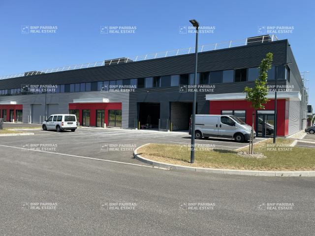 Local Commercial location à Haguenau-Wissembourg, Bernolsheim